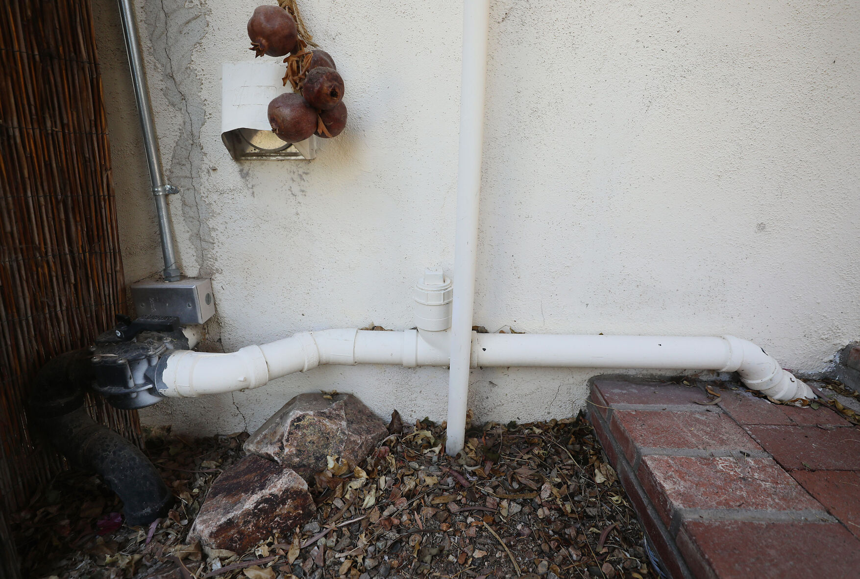 Greywater, Tucson, 2022